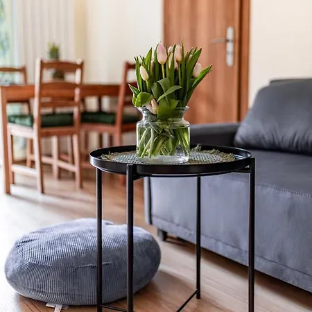 Dom Górska Przystań *