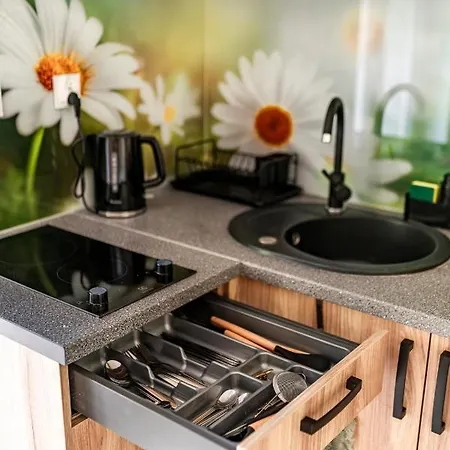 Apartament Gorska Przystan Stronie Śląskie