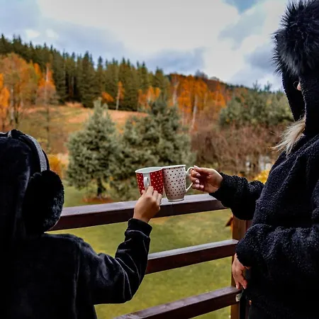 Dom Górska Przystań Apartamento Stronie Śląskie