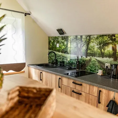 Apartamento Górska Przystań
