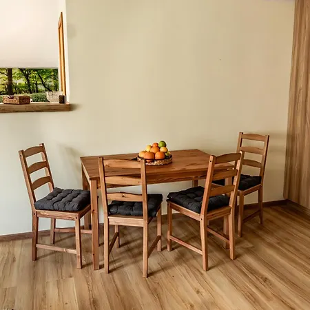 Gorska Przystan Apartment Stronie Slaskie